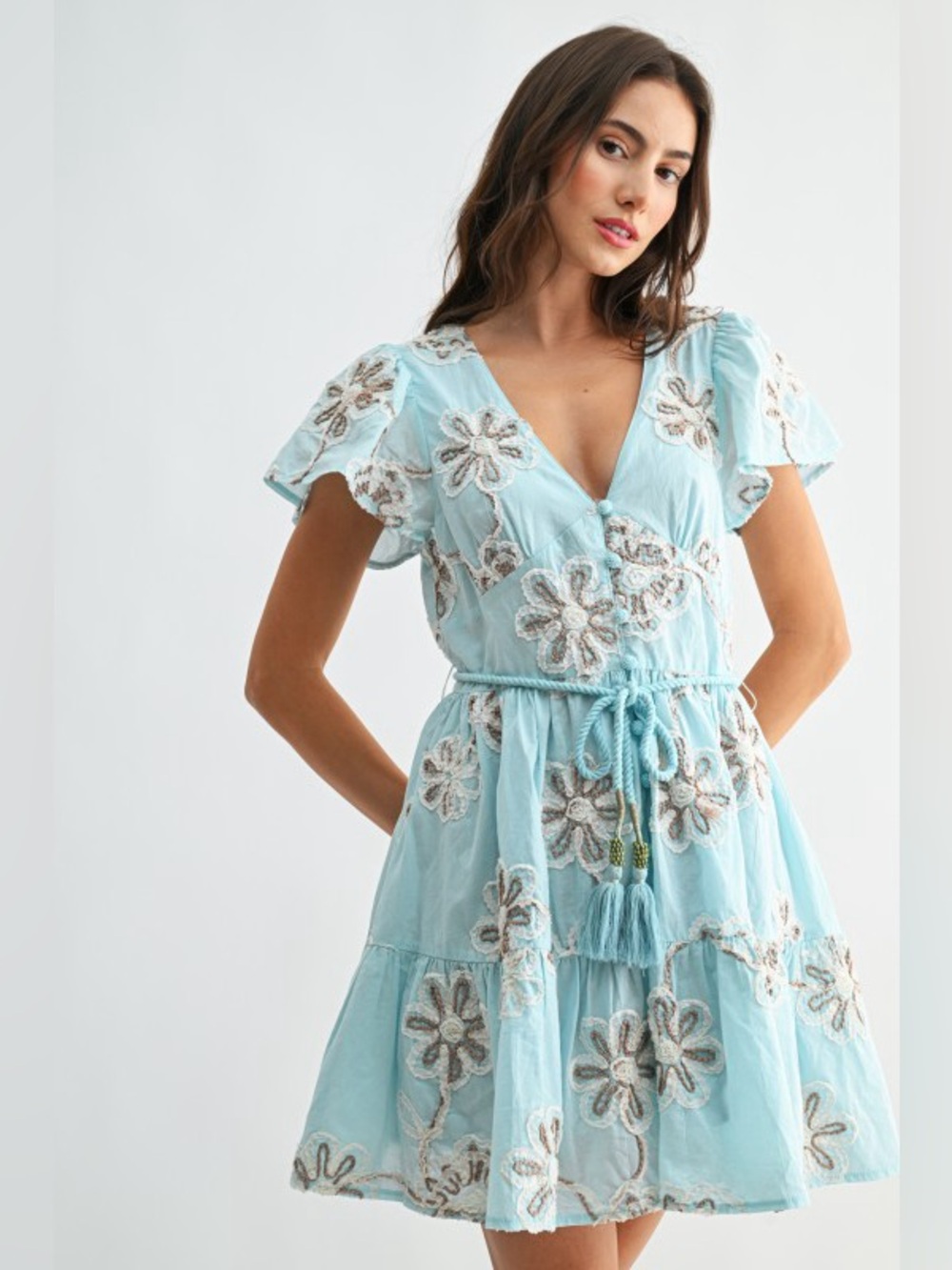 Camellia Blue Floral Embroidered V-Neck Dress